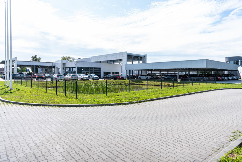 PL005615 BEDNARSCY 3